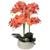 Image de Orchidée artificielle en pot Sanae pot en ciment orange H65cm - Atmosphera Créateur dintérieur