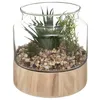 Image de Plante artificielle terrarium pot verre H175cm - Atmosphera createur dinterieur
