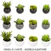 Image de Plante grasse artificielle - NO NAME - 6cm - Gris