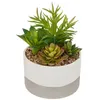 Image de Plante artificielle - Atmosphera - Bicolore - Pot céramique - D. 145 cm - H. 21 cm