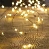 Image de Guirlande lumineuse extérieur 10m blanc chaud 100 LED + transfo Feeric lights & christmas