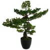 Image de Bonsaï artificiel H80cm - Atmosphera Créateur dintérieur