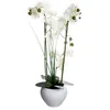 Image de Orchidée artificielle vase céramique blanc H53cm - Atmosphera Créateur dintérieur