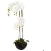 Image de Orchidée artificielle pot céramique H115cm - Atmosphera Créateur dintérieur