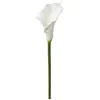 Image de Tige darum artificiel blanc H75cm - Atmosphera createur dinterieur