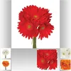 Image de BOUQUET 7 TIGES FLEURS GERBERA 26CM Blanc / Rouge Bordeaux / Orange Cuivre Mandarine