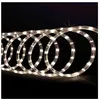 Image de Tube Lumineux Led Extérieur Techno 6m Blanc Chaud