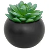 Image de Plante grasse en pot H13 - Atmosphera createur dinterieur - Modèle h/noir