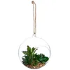 Image de Plante artificielle en boule pot verre H17cm - Atmosphera createur dinterieur