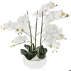 Image de Orchidée artificielle pot céramique blanc H65cm - Atmosphera Créateur dintérieur