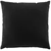 Image de Coussin dehoussable 45 x 45 cm coton/polyester recycle Twily Noir