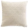 Image de Housse de Coussin Jacquard Echo 40x40cm Naturel