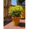 Image de Pot de fleurs rond RIVIERA - SOLEILLA - Plastique - D59 x H54 cm - Jaune