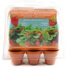 Image de Mini serre 6 pots - Fraises à faire pousser