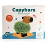 Image de Capybara terre cuite poreuse avec graines de chia