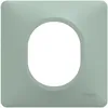Image de Plaque de Finition - SCHNEIDER - Ovalis - Sauge - 1 Poste - Finition Mate
