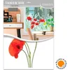 Image de Sticker vitre Coquelicots