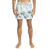 Image de Short de Bain - Quiksilver - Everyday Garden Path 15 - Bleu - Homme - XS