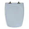 Image de Abattant pour wc SELLES Cheverny bleu myosotis