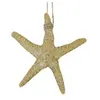 Image de Grande Etoile de mer en résine naturelle 12cm