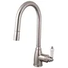 Image de Robinet de cuisine - ESSEBAGNO - Ascott - Inox - Douchette extractible - Certifié ACS