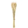 Image de BOUQUET 24 ÉPIS DE BLÉ 35CM Beige Ivoire Crème Écru Naturel Taupe