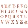 Image de 48 Stickers lettres adhésives rose gold 135 cm - Rose gold
