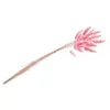 Image de BOUQUET 25 TIGES LAGURUS SÉCHÉS 50-60CM ROSE