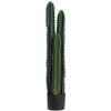 Image de Outsunny - cactus - Plastique - 17x17x98cm - Vert