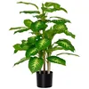 Image de HOMCOM - Plante Artificielle Calathea - PE - 17x17x95cm - Vert