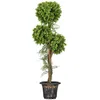 Image de Plante artificielle HOMCOM PE 30x30x115cm Vert