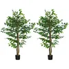Image de Lot de 2 plantes artificielles - ficus hauteur 150 m - tronc branches liane lichen feuilles grand réalisme pot inclus vert