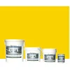 Image de Peinture laque époxy sol et mur Kit de 1 Kg Jaune Sable RAL 1001