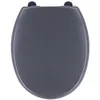 Image de ABATTANT WC THERMODUR 18 POUCES + FREIN DE CHUTE ATTACHES PLASTIQUES - GRIS