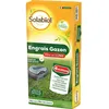 Image de SOLABIOL - Engrais Gazon Professionnel 10 Kg