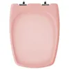 Image de Abattant pour wc SELLES Cheverny rose jaspé