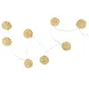 Image de Guirlande Lumineuse 8 LED Boule Rotin 156cm Naturel