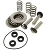 Image de Kit pistons + joints + roulements - Nettoyeur haute pression Mac allister - Moteurs