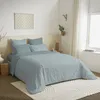 Image de Pack complet housse de couette réversible pour lit 160 x 200 cm Céleste glacier - -