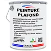 Image de Peinture Plafond - 20 L - Codeve Bois - RAL 9010 - Blanc pur