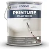 Image de Peinture Plafond - 5 L - Codeve Bois - RAL 9010 - Blanc pur