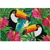 Image de Tapis coco blanchi toucans / pvc 40x60 cm