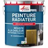 Image de Peinture Radiateur fonte acier alu - PEINTURE RADIATEUR - 1 kg (jusquà 5 m² en 2 couches) Noir foncé RAL 9005