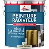 Image de Peinture Radiateur fonte acier alu - PEINTURE RADIATEUR - 1 kg (jusquà 5 m² en 2 couches) Ivoire Clair - RAL 1015