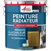 Image de Peinture Radiateur fonte acier alu - PEINTURE RADIATEUR - 1 kg (jusquà 5 m² en 2 couches) Bleu Deau - RAL 5021