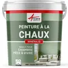 Image de PEINTURE CHAUX NATURELLE - MINERALIS - 30 m² (5 kg en 1 couche) Tilleul Gris Vert