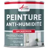 Image de Peinture anti humidité mur humide salle de bain - ARCASCREEN 0.75 L (jusquà 3 m²) -