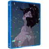 Image de Perfect Blue - Film - Edition Limitée Steelbook - Combo Blu-ray + DVD - Satoshi Kon - Thriller - Interdit -16