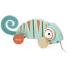 Image de Tropik - Caméléon A Tirer