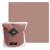 Image de Peinture lessivable acrylique velours   murs et plafonds - 25 ltr Rouge & Rose - En voiture Simone